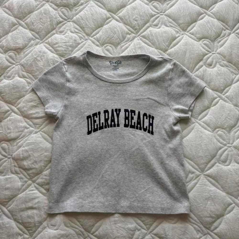grey and navy Florida Brandy Melville baby tee
